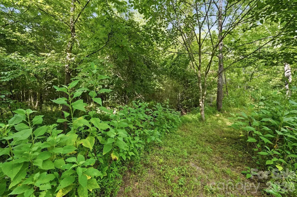 139 Addison Emory Lane Mooresville NC 28115