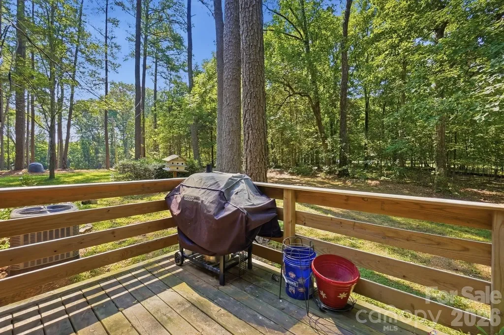 11060 Teresia Lane Midland NC 28107