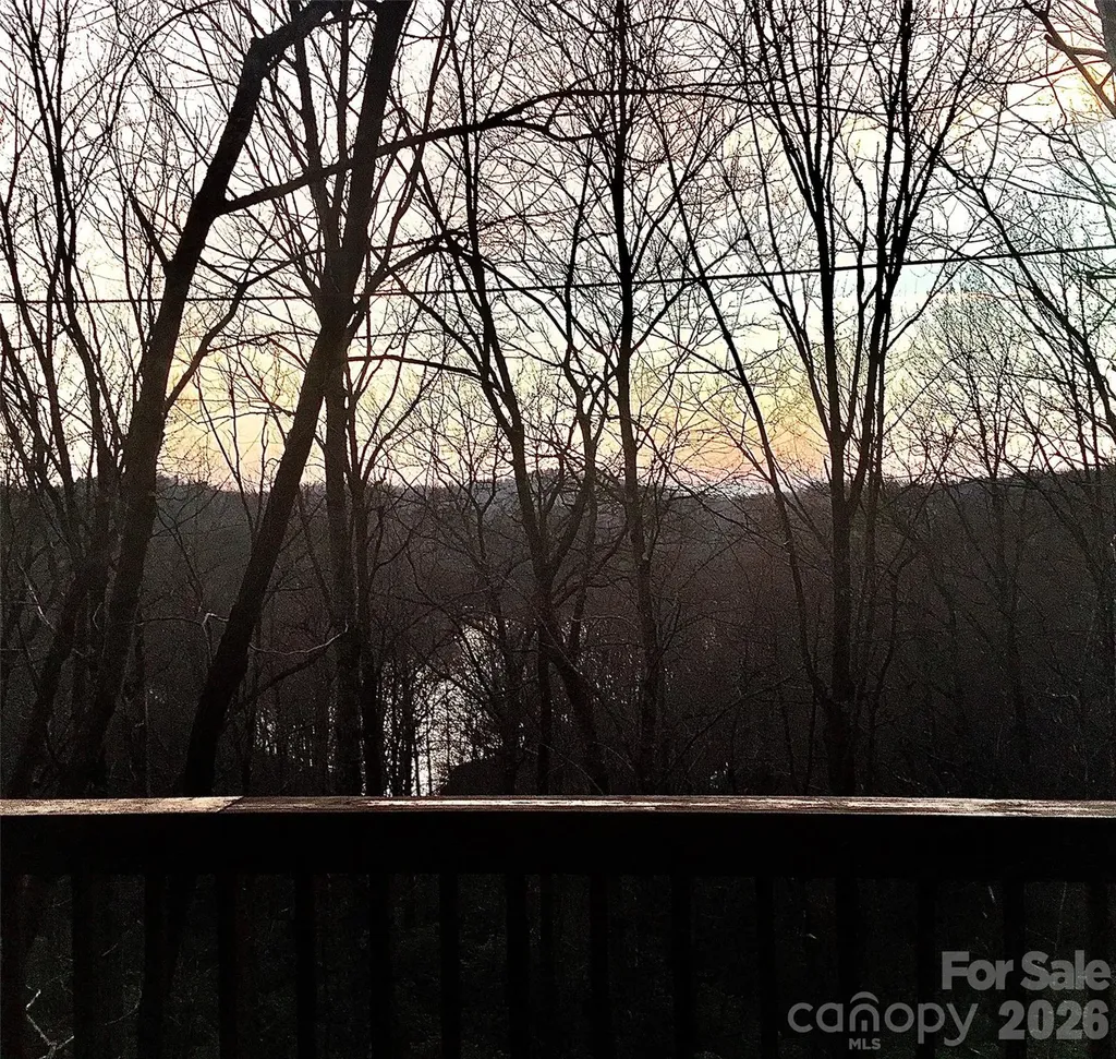 109 Usdasdi Drive Brevard NC 28712