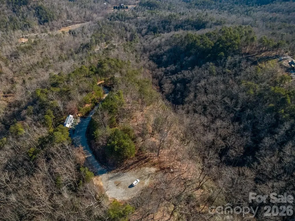 0 Laurel Branch Drive Chimney Rock NC 28720