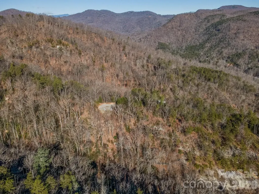 0 Laurel Branch Drive Chimney Rock NC 28720
