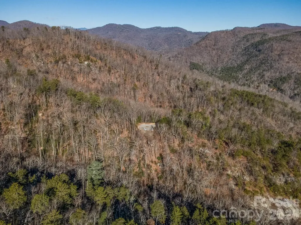0 Laurel Branch Drive Chimney Rock NC 28720