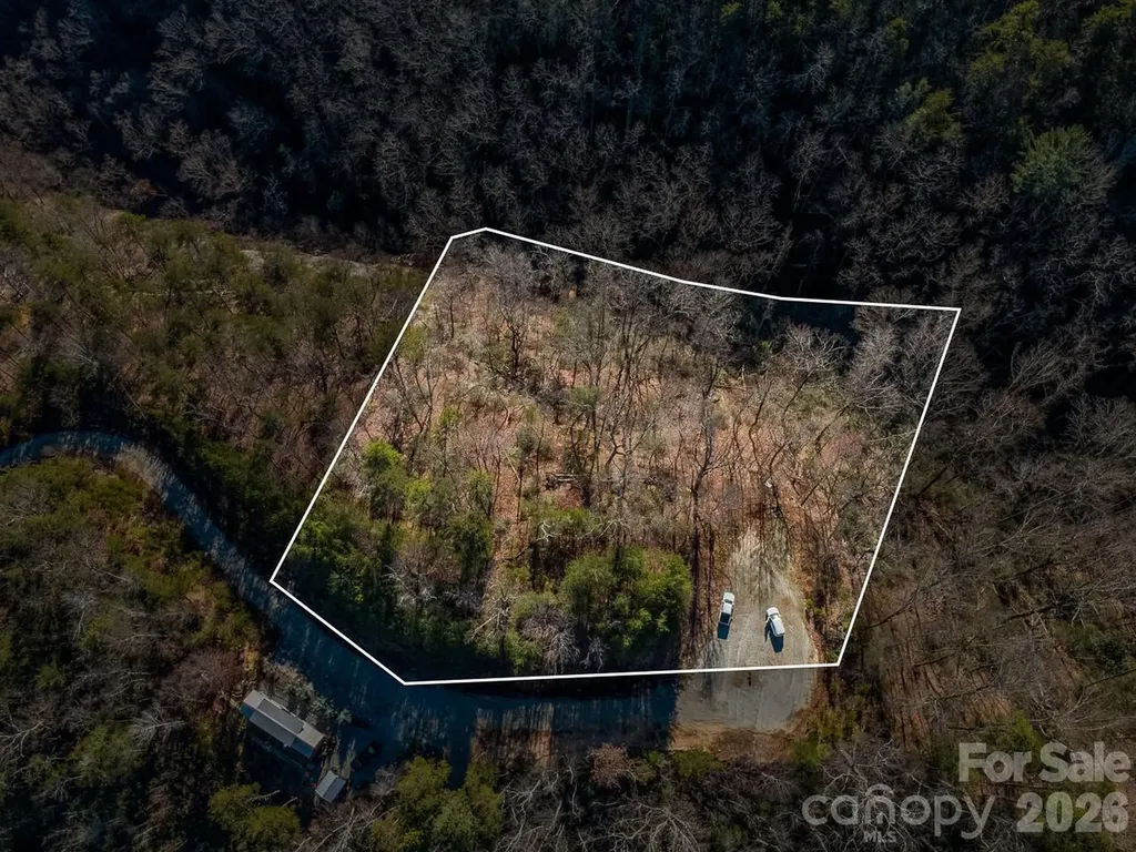 0 Laurel Branch Drive Chimney Rock NC 28720