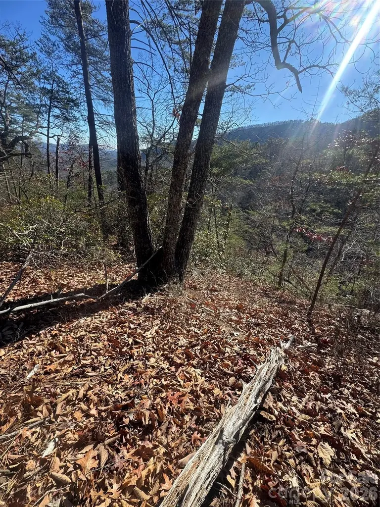 0 Laurel Branch Drive Chimney Rock NC 28720