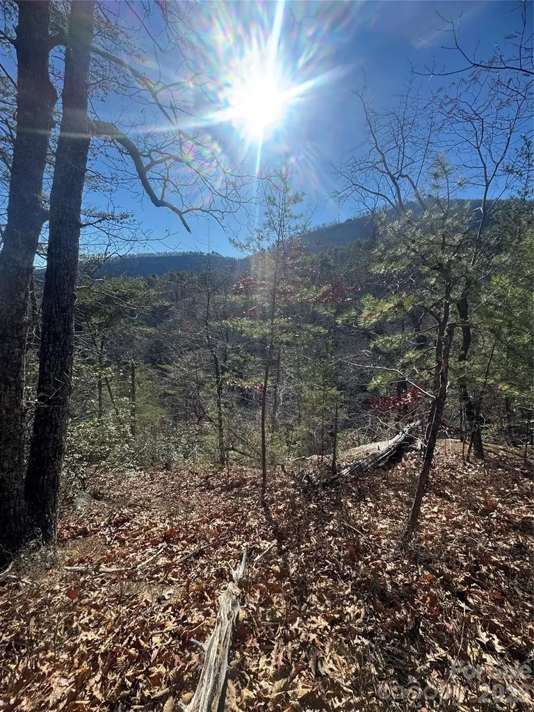 0 Laurel Branch Drive Chimney Rock NC 28720
