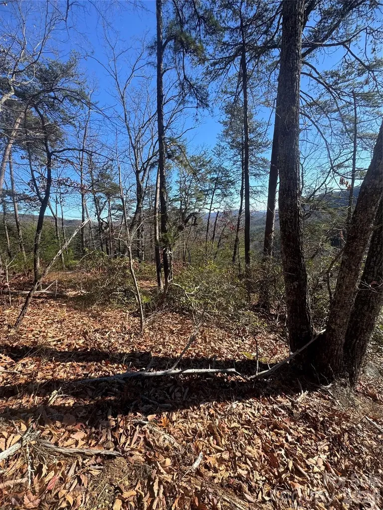 0 Laurel Branch Drive Chimney Rock NC 28720