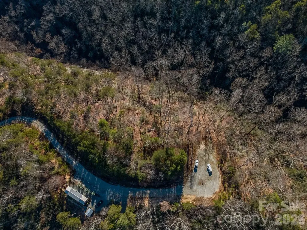 0 Laurel Branch Drive Chimney Rock NC 28720