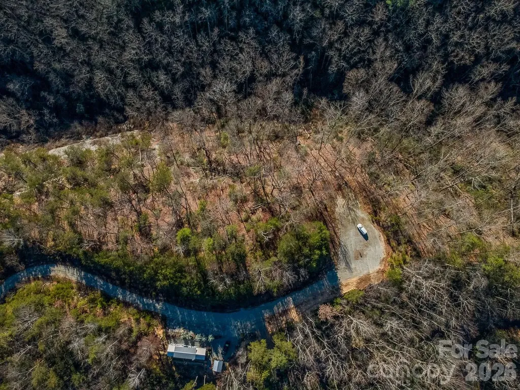 0 Laurel Branch Drive Chimney Rock NC 28720