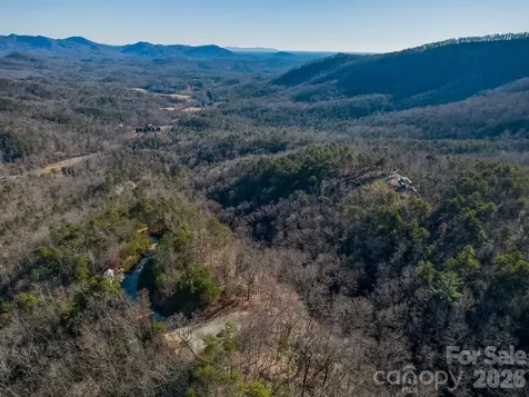 0 Laurel Branch Drive Chimney Rock NC 28720