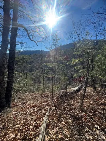 0 Laurel Branch Drive Chimney Rock NC 28720