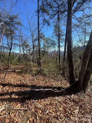 0 Laurel Branch Drive Chimney Rock NC 28720
