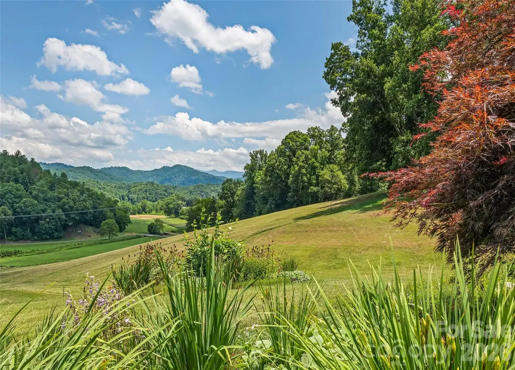 910 California Creek Road Mars Hill NC 28754
