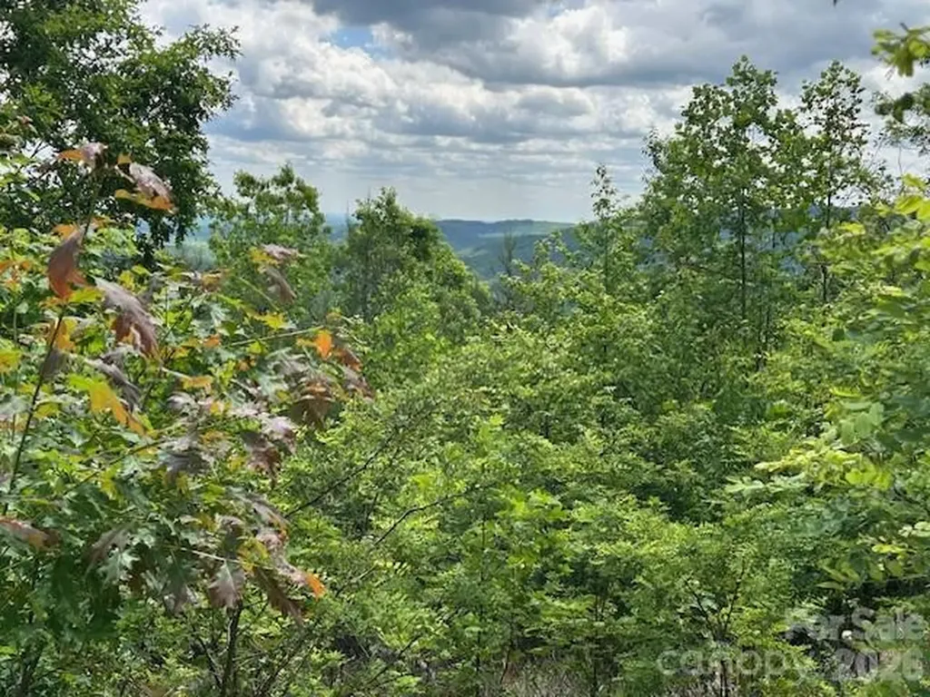 0 Azule Ridge Bostic NC 28018