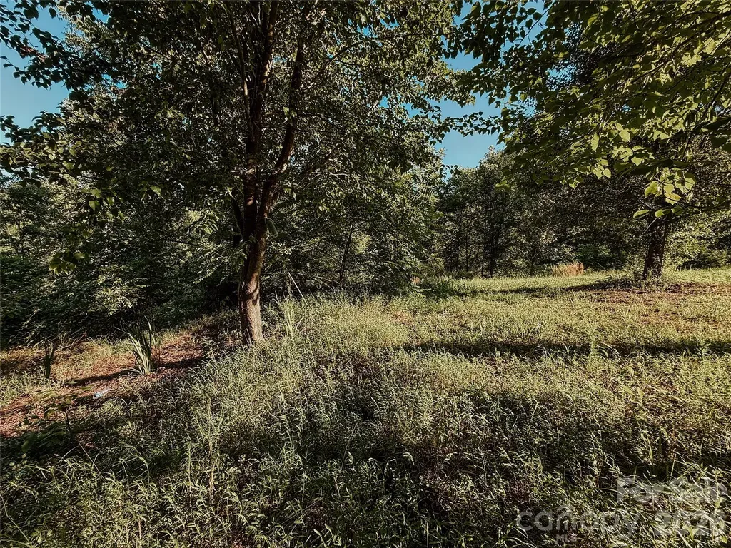 3028 Playmore Beach Road Morganton NC 28655