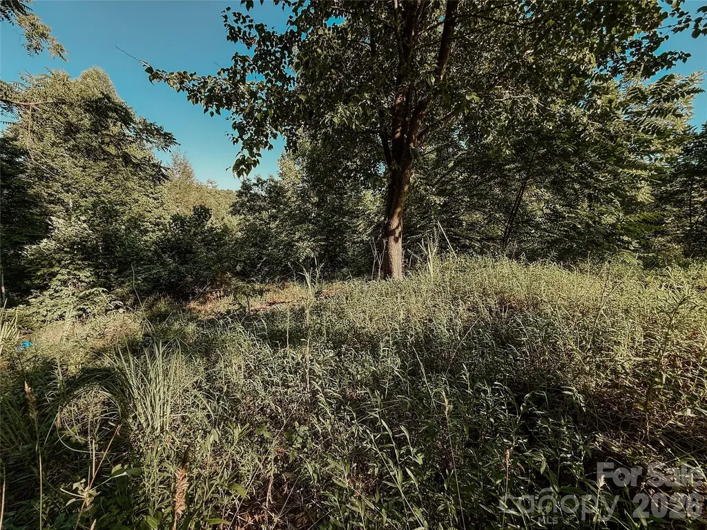 3028 Playmore Beach Road Morganton NC 28655