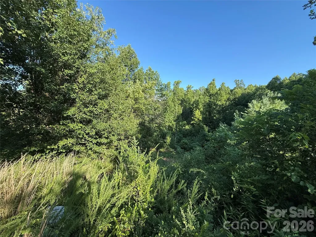 3028 Playmore Beach Road Morganton NC 28655