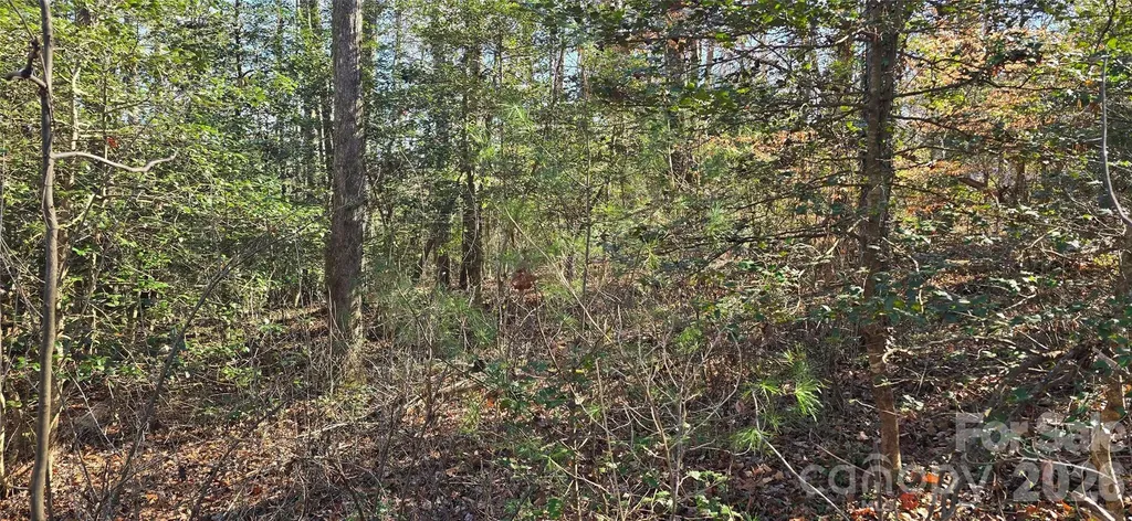 000 Peak Place NW Lenoir NC 28645