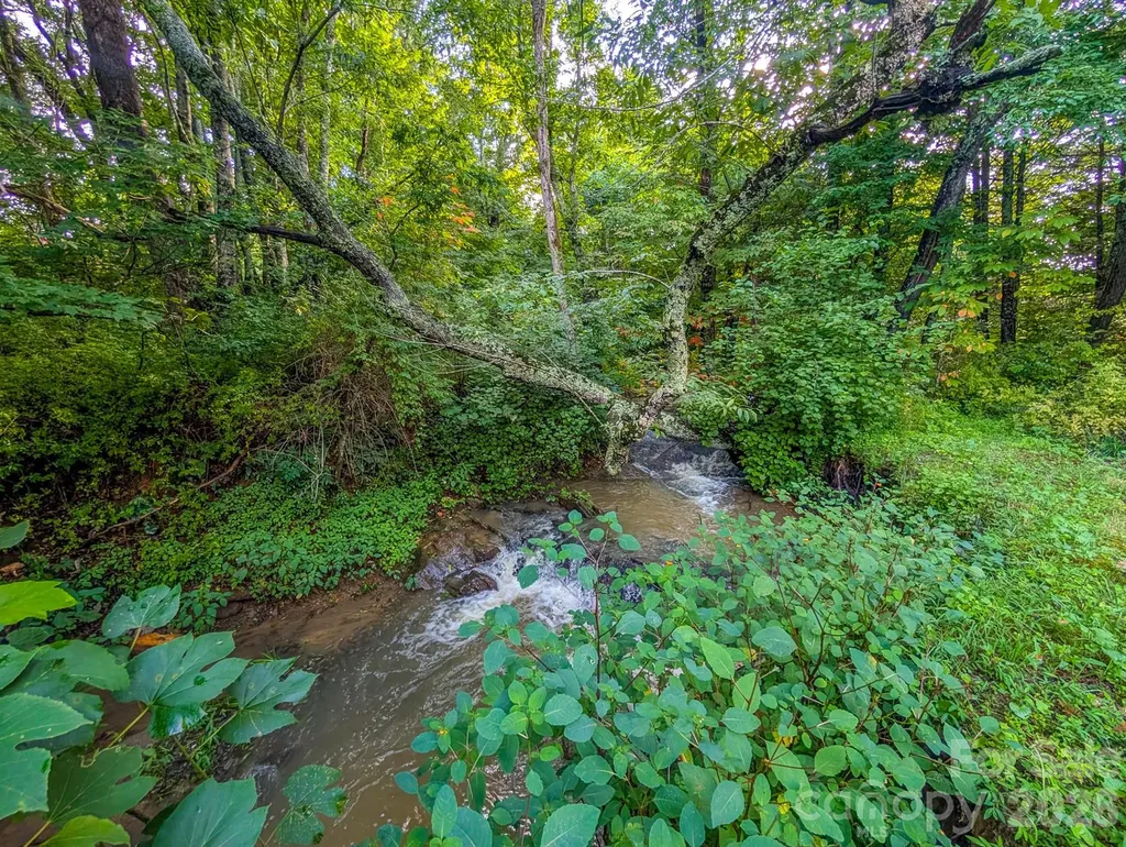 172 Lower Browns Creek Road Burnsville NC 28714