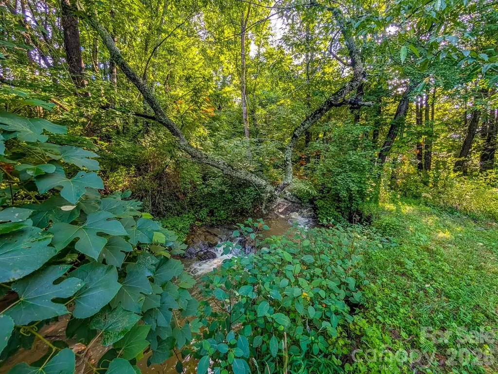 172 Lower Browns Creek Road Burnsville NC 28714
