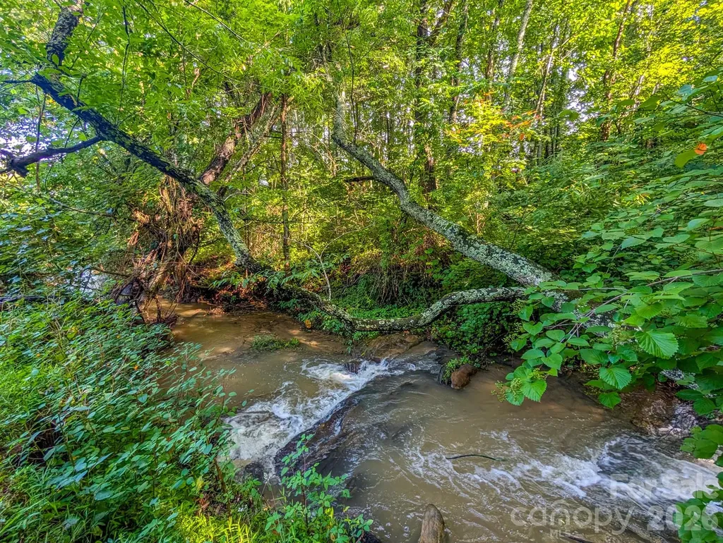 172 Lower Browns Creek Road Burnsville NC 28714