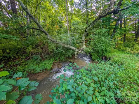 172 Lower Browns Creek Road Burnsville NC 28714