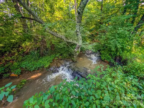 172 Lower Browns Creek Road Burnsville NC 28714