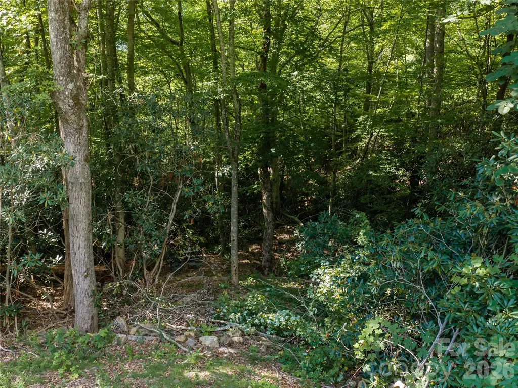 1043 Moss Creek Lane Swannanoa NC 28778