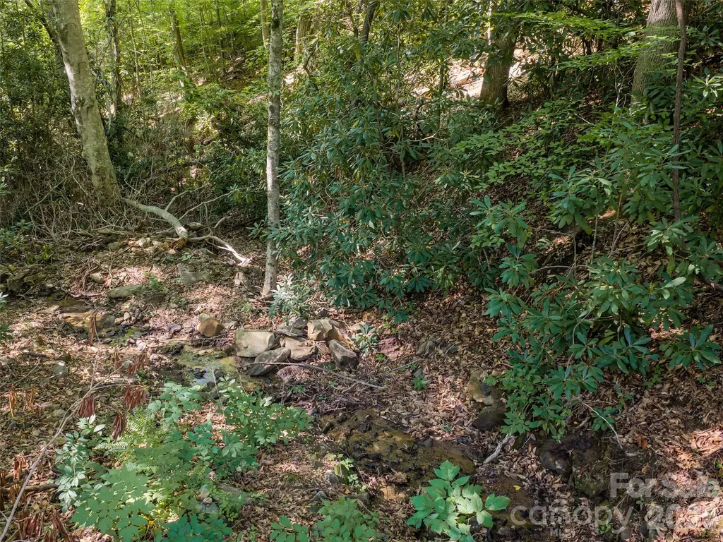 1043 Moss Creek Lane Swannanoa NC 28778