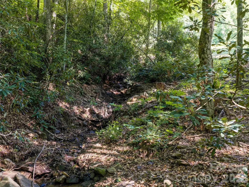 1043 Moss Creek Lane Swannanoa NC 28778