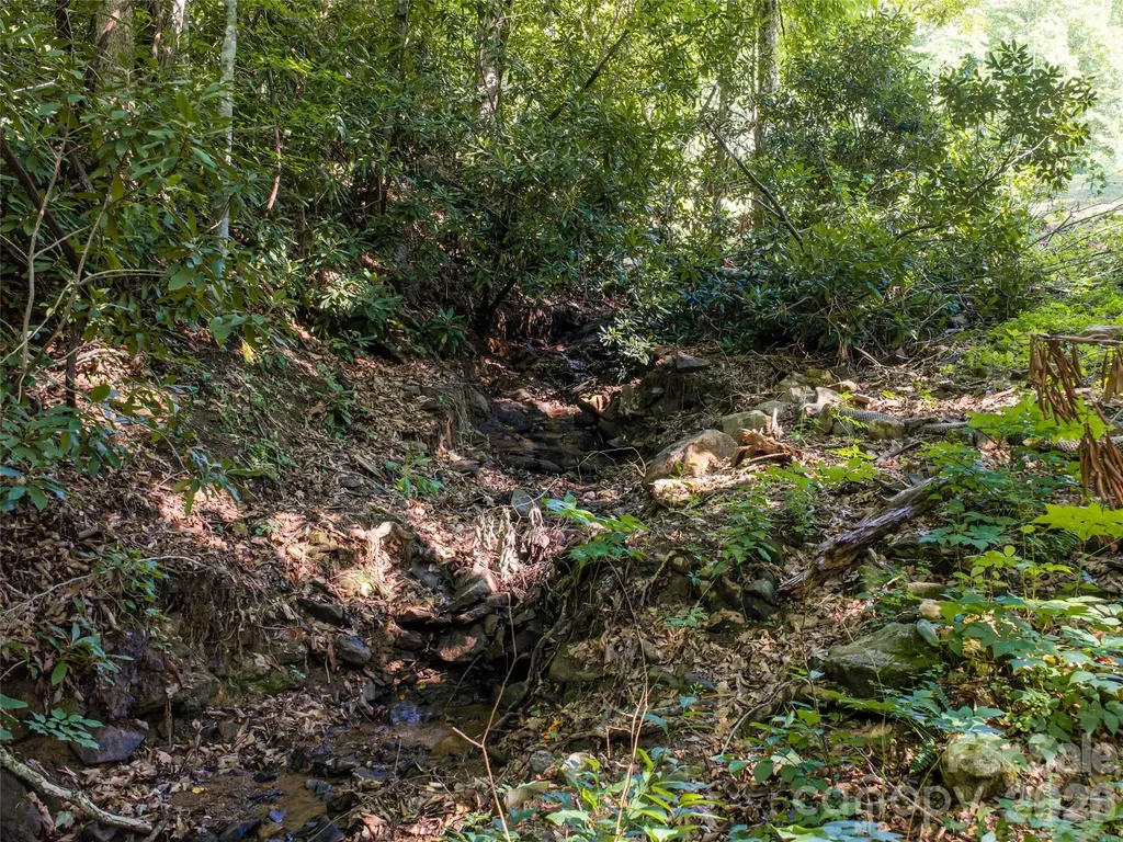 1043 Moss Creek Lane Swannanoa NC 28778