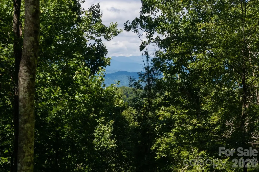 1043 Moss Creek Lane Swannanoa NC 28778