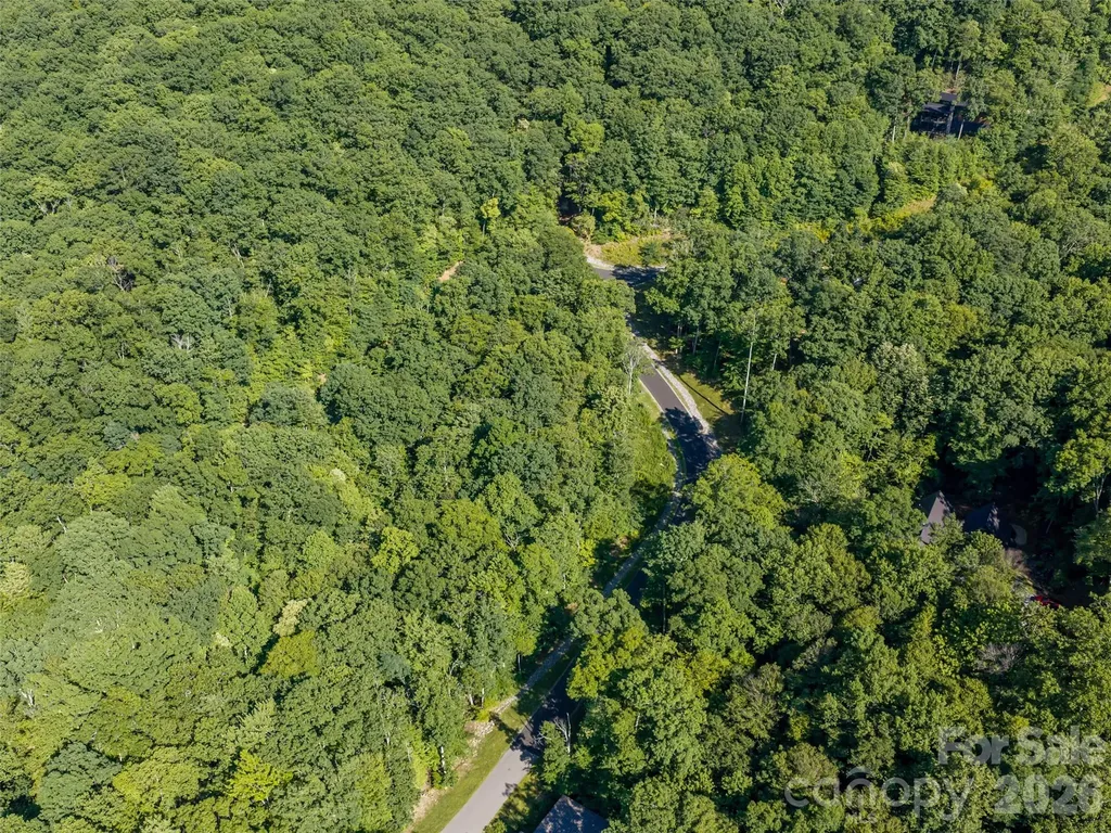 1043 Moss Creek Lane Swannanoa NC 28778