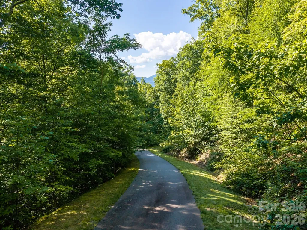 1043 Moss Creek Lane Swannanoa NC 28778