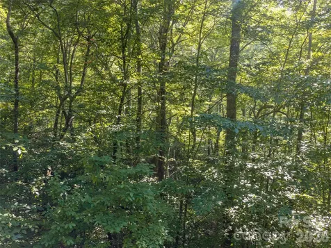 1043 Moss Creek Lane Swannanoa NC 28778
