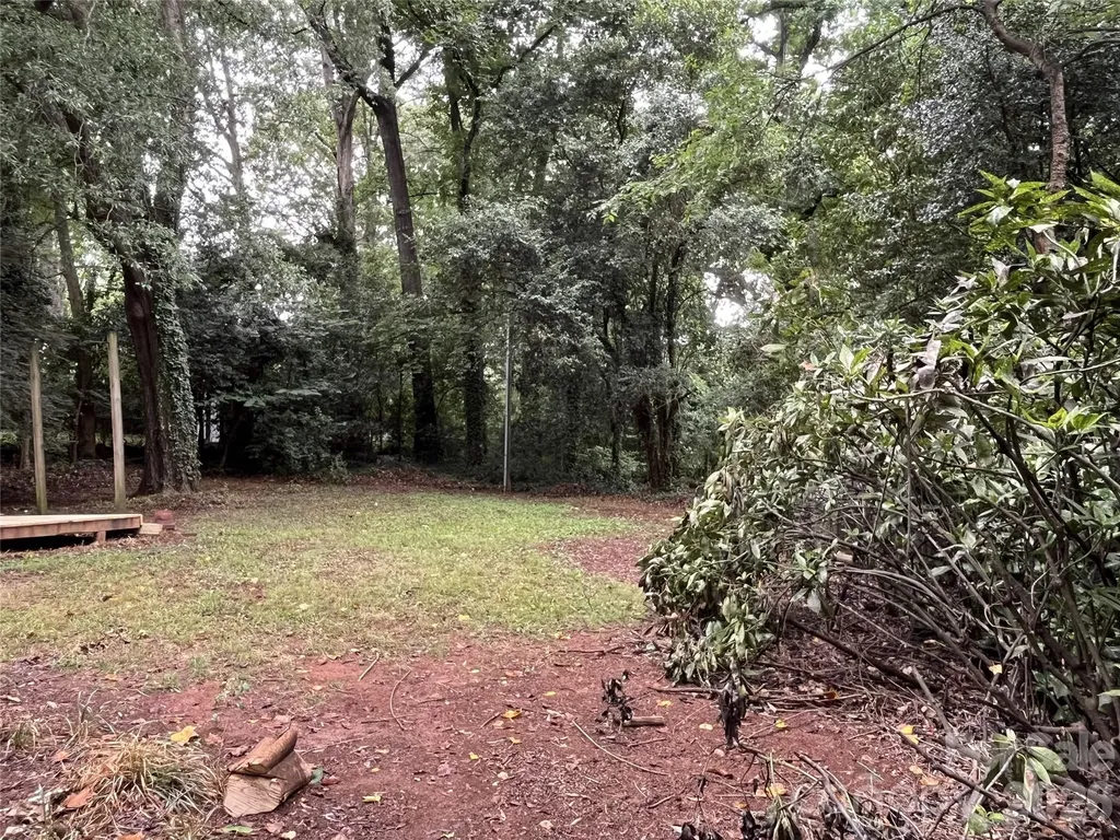 4217 Winfield Drive Charlotte NC 28205