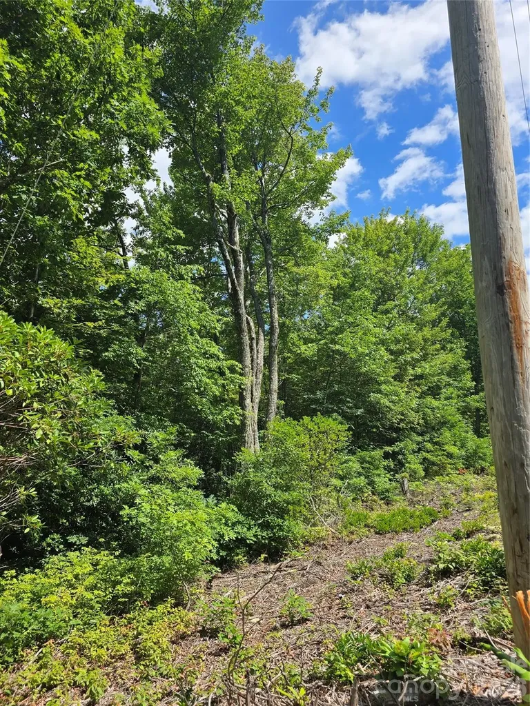 0000 Nancy Mountain Road Rosman NC 28772