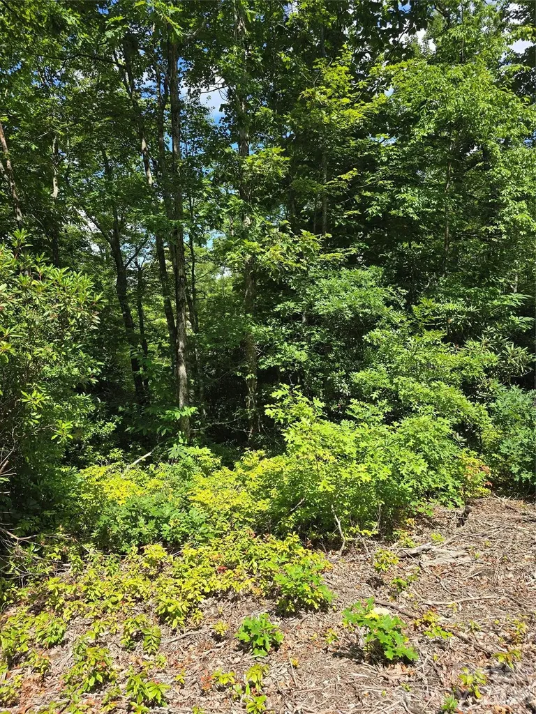 0000 Nancy Mountain Road Rosman NC 28772