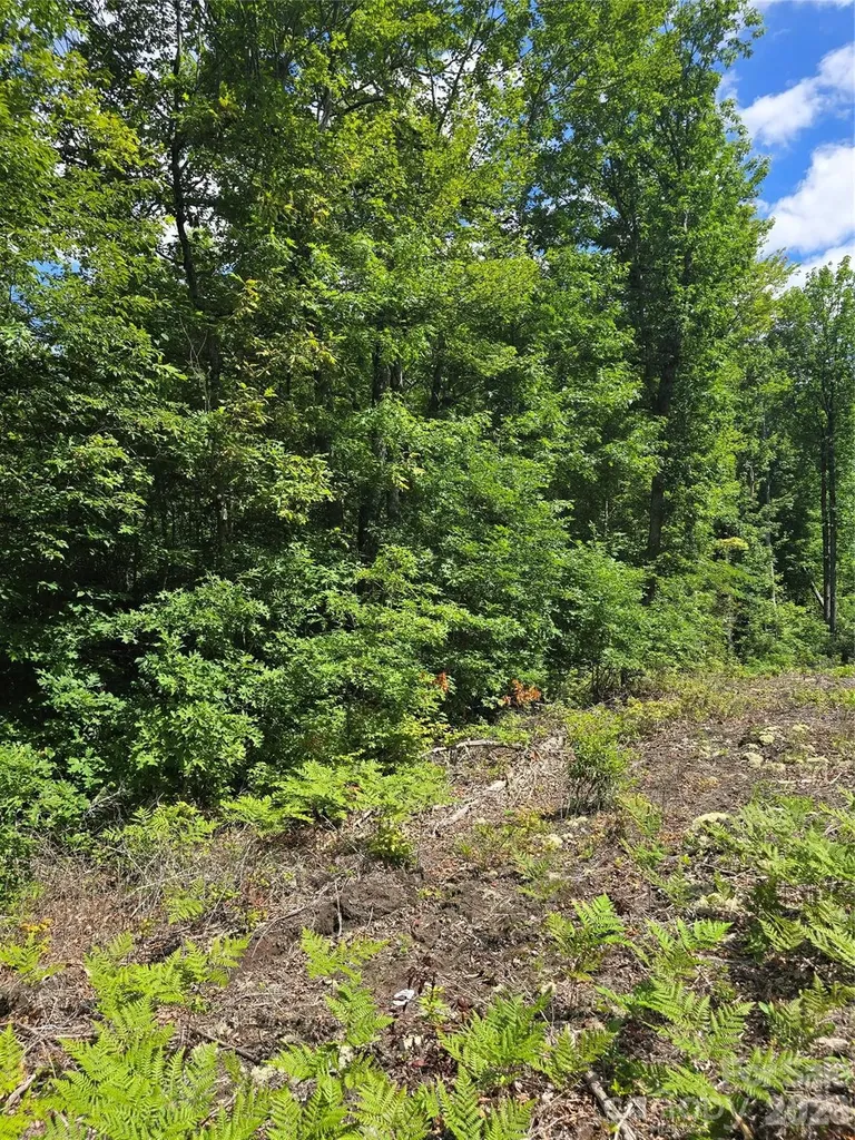 0000 Nancy Mountain Road Rosman NC 28772