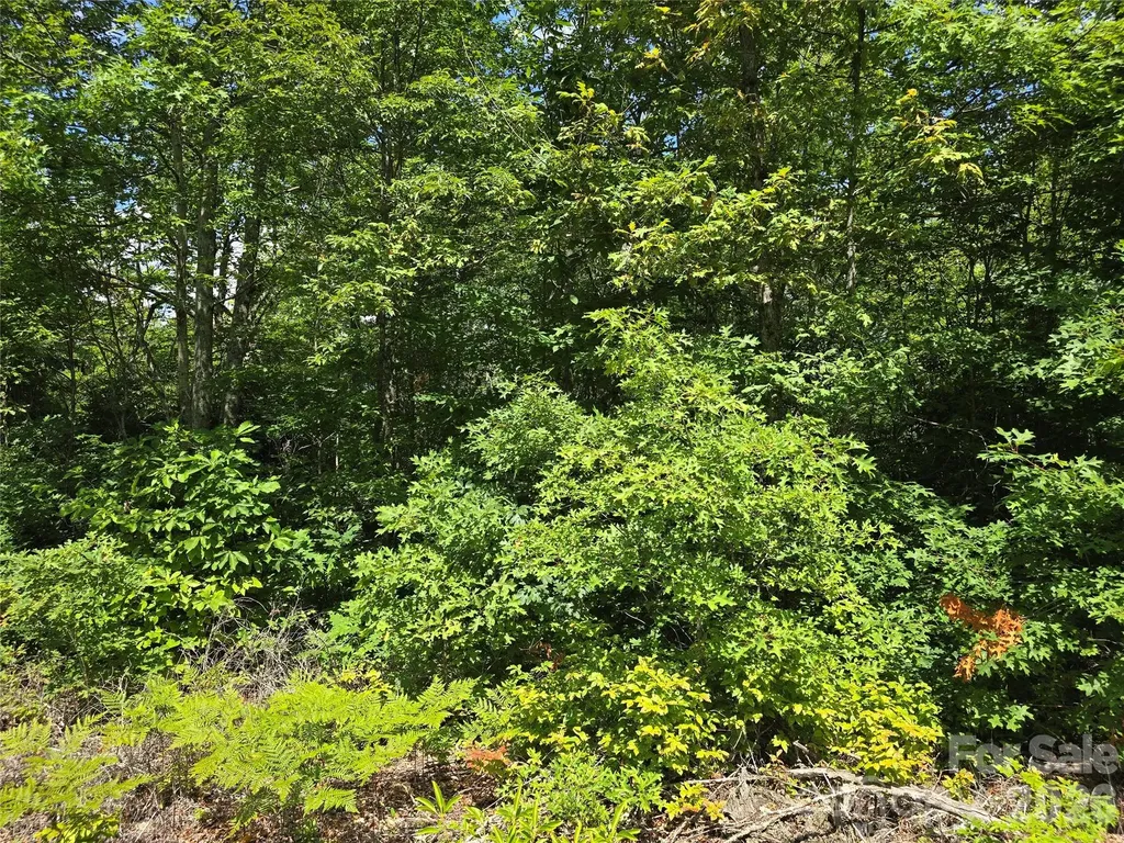 0000 Nancy Mountain Road Rosman NC 28772