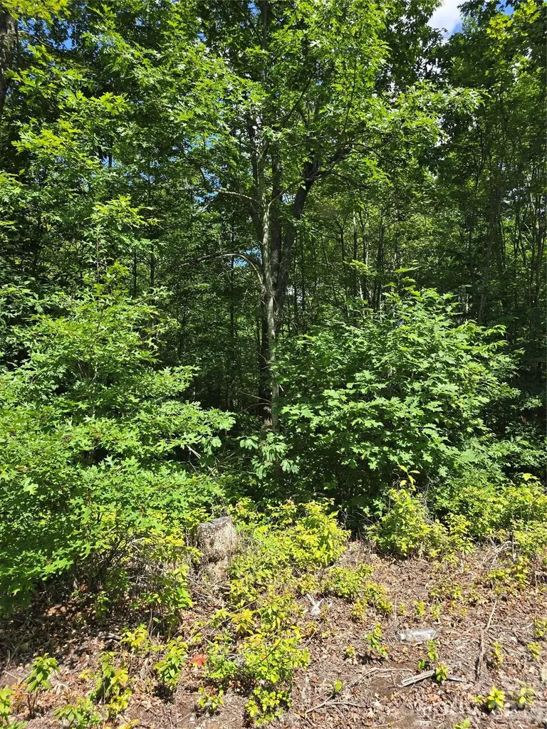 0000 Nancy Mountain Road Rosman NC 28772