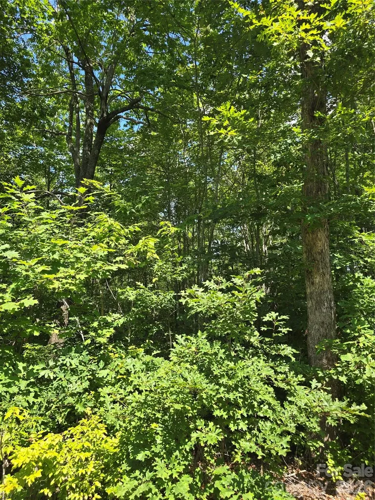 0000 Nancy Mountain Road Rosman NC 28772