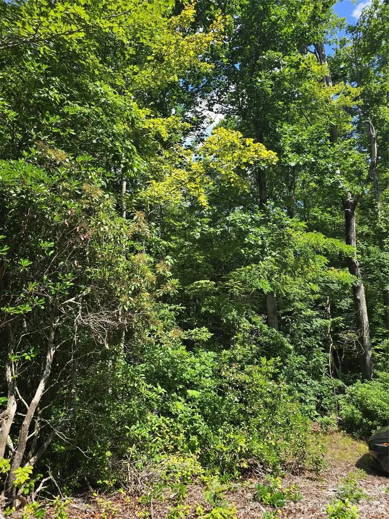 0000 Nancy Mountain Road Rosman NC 28772