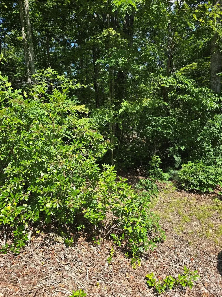 0000 Nancy Mountain Road Rosman NC 28772