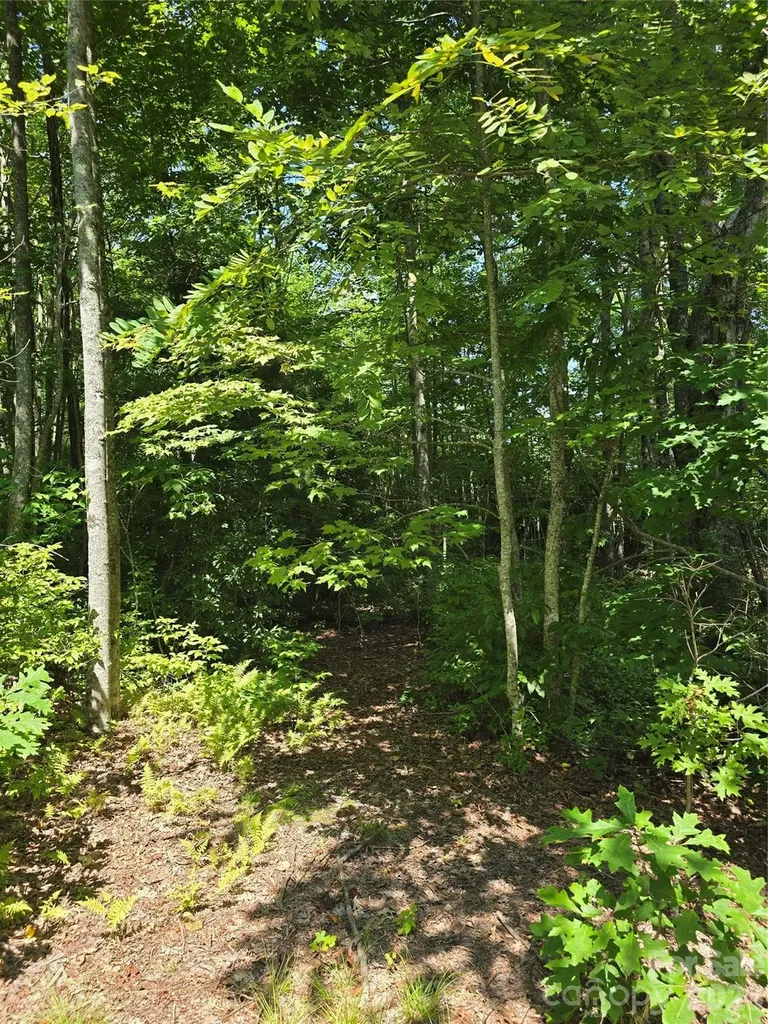 0000 Nancy Mountain Road Rosman NC 28772