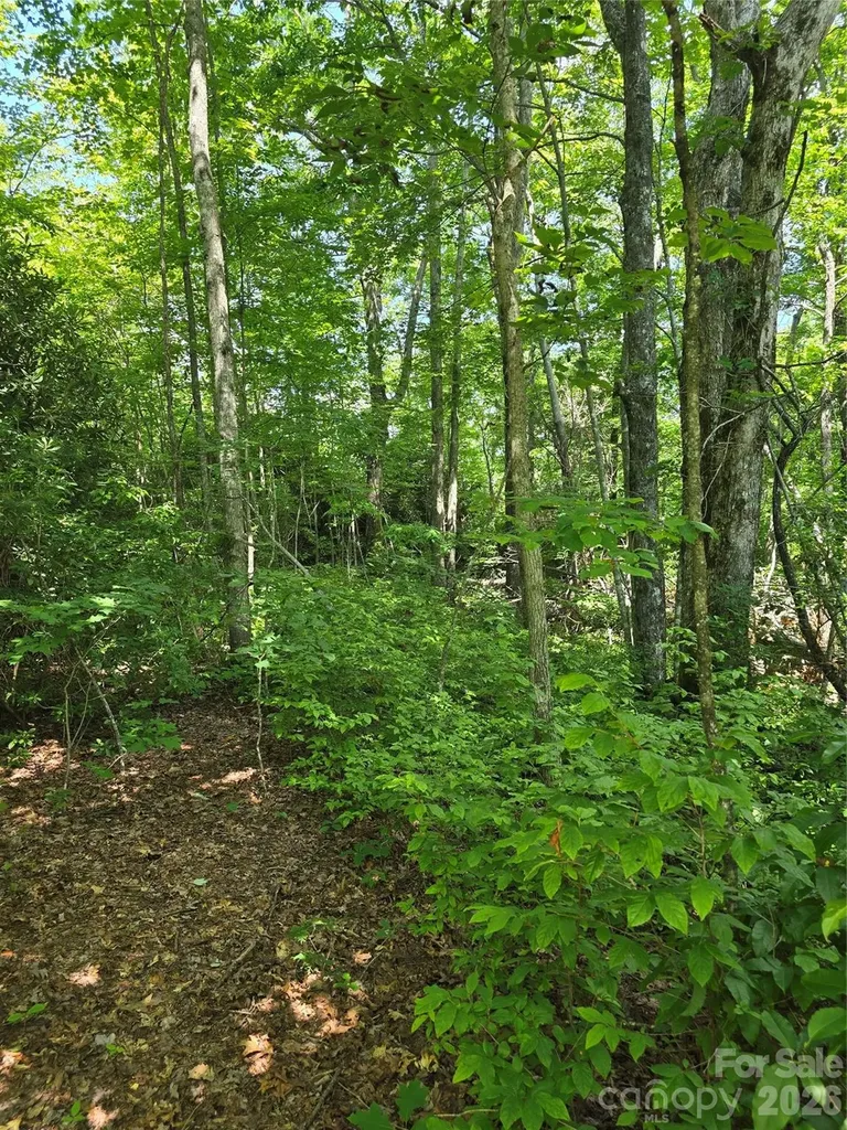 0000 Nancy Mountain Road Rosman NC 28772