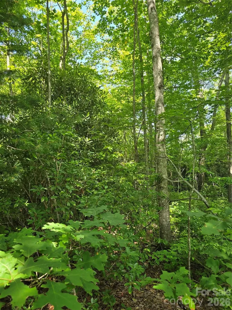 0000 Nancy Mountain Road Rosman NC 28772