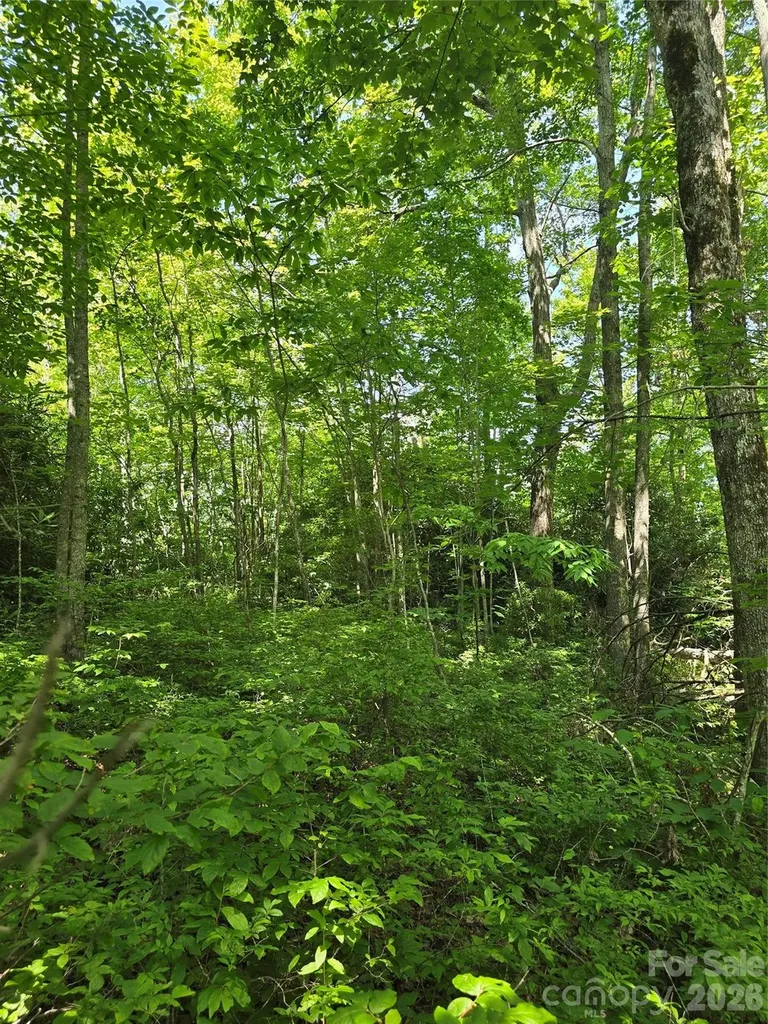 0000 Nancy Mountain Road Rosman NC 28772