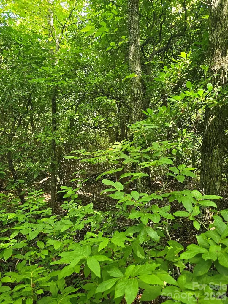 0000 Nancy Mountain Road Rosman NC 28772