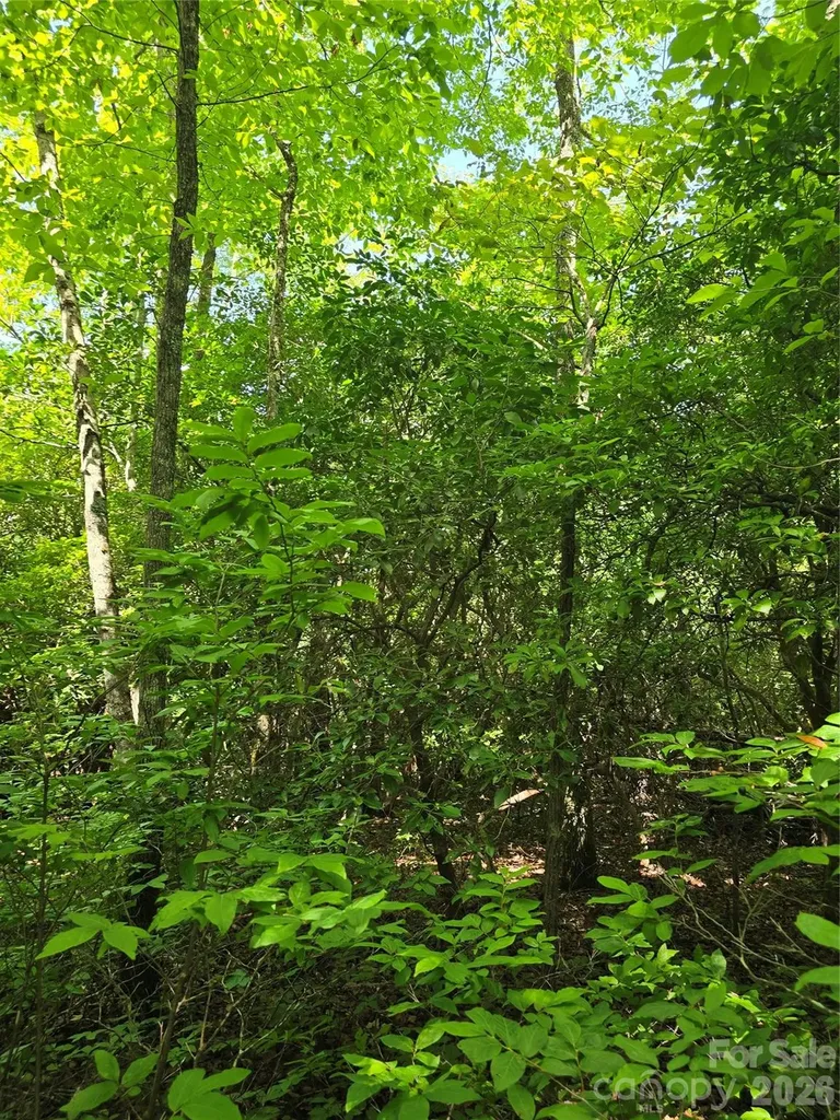 0000 Nancy Mountain Road Rosman NC 28772