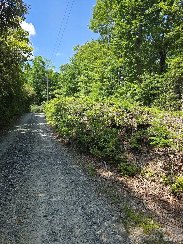 0000 Nancy Mountain Road Rosman NC 28772